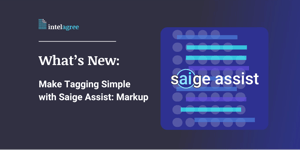 Saige Assist Markup -2